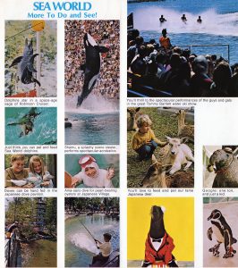 1972 SeaWorld Ohio Brochure